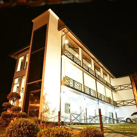 Hotel Villa Greenberg-2